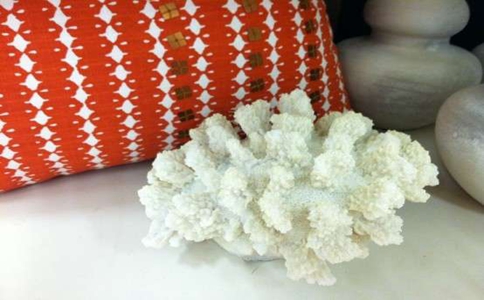 软装饰品-珊瑚装饰家居